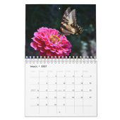 Schmetterlinge und Freunde Kalender (Mär 2027)