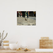 Schmetterlinge und gepflasterte Straßen Poster (Küche)