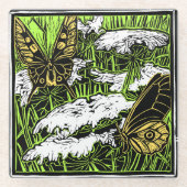 Schmetterlinge und Königin Anne's Lace Glasuntersetzer (Vorderseite)