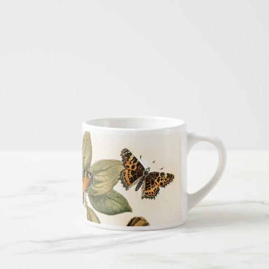 Schmetterlinge und Moths von William Forsell Kirby Espressotasse (Rechts)