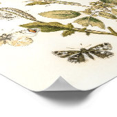 Schmetterlinge und Moths von William Forsell Kirby Poster (Ecke)