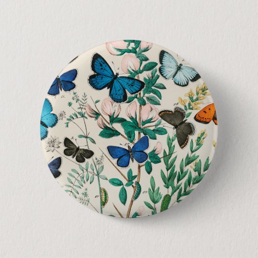 Schmetterlinge und Moths William Forsell Kirby 188 Button (Vorderseite)