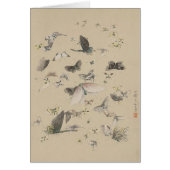 Schmetterlinge und Motten (Vorne)