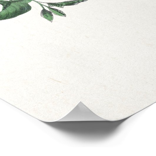 Schmetterlinge und Motten 2 Poster (Ecke)