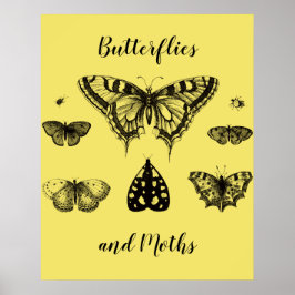 Schmetterlinge und Motten Vintage-Druck Poster