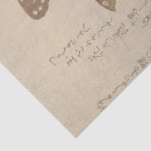 Schmetterlinge und Motten von Kubo Shunman Seidenpapier (Detail)