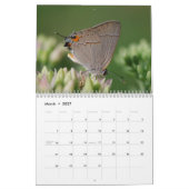 Schmetterlinge und Mottenkalender Kalender (Mär 2027)