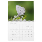 Schmetterlinge und Mottenkalender Kalender (Jan 2027)