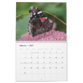 Schmetterlinge und Mottenkalender Kalender (Feb 2027)