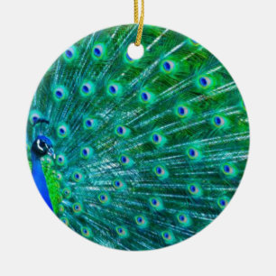 Schmetterlinge und Pfau Keramikornament