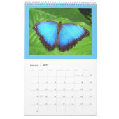 Schmetterlinge und Raupen Kalender (Jan 2027)