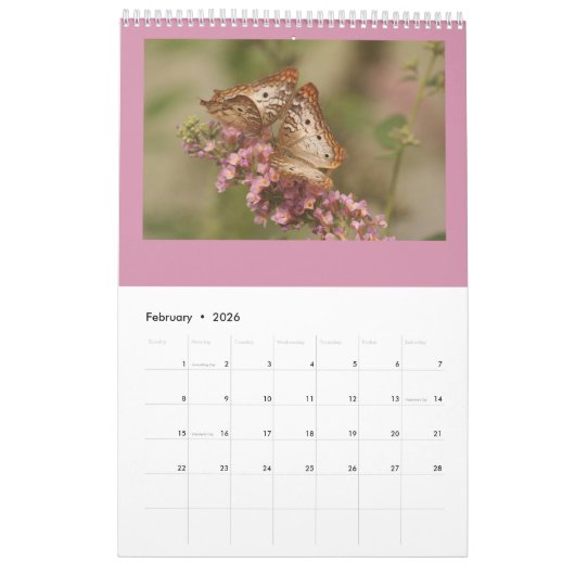 Schmetterlinge und Raupen Kalender (Feb 2026)