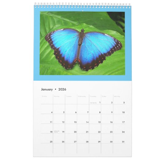 Schmetterlinge und Raupen Kalender (Jan 2026)