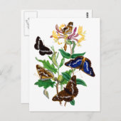 Schmetterlinge und rote Honigsaule Postkarte (Vorne/Hinten)