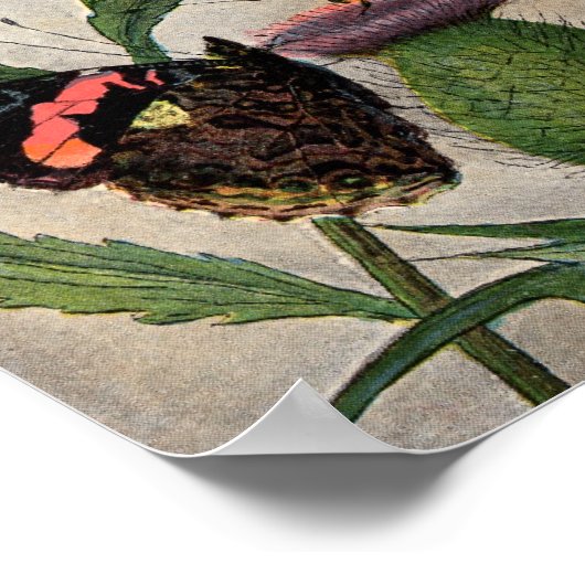 Schmetterlinge und Thistle Poster (Ecke)