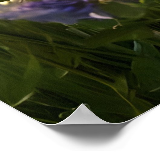 Schmetterlinge und Wildblumen Poster (Ecke)