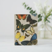 Schmetterlinge Vintag 1904 Postkarte (Stehend Vorderseite)