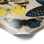 Schmetterlinge Vintag 1904 Print Fotodruck (Ecke)