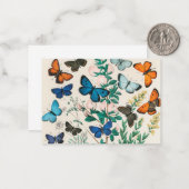 Schmetterlinge, Vintage Illustration Mitteilungskarte (Vorderseite/Rückseite Beispiel)