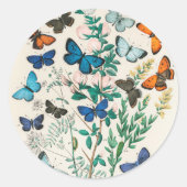 Schmetterlinge, Vintage Illustrationen, Runder Aufkleber (Vorderseite)