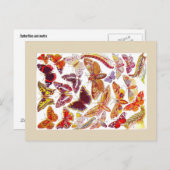 Schmetterlinge Vintage Postkarte | Insekten (Vorne/Hinten)