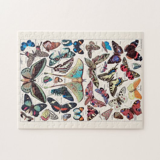 Schmetterlinge von Adolphe Millot Puzzle (Horizontal)