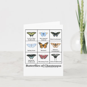 Schmetterlinge von Chautauqua Karte