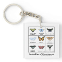 Schmetterlinge von Chautauqua