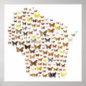 Schmetterlinge von Wisconsin Poster (Vorne)