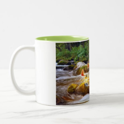 Schmetterlinge Zweifarbige Tasse (Links)