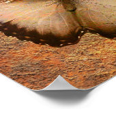 Schmetterlinggott öffnet Türen Baldachin Kunst Poster (Ecke)