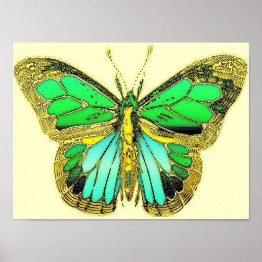 Schmetterlingposter Poster (Vorne)
