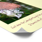 Schmetterlingposter Poster (Ecke)