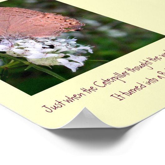 Schmetterlingposter Poster (Ecke)