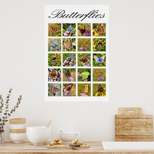 Schmetterlingposter Poster (Küche)
