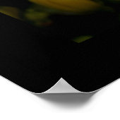 Schmetterlingposter Poster (Ecke)