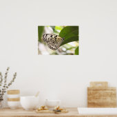 Schmetterlingposter Poster (Küche)