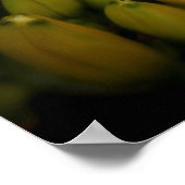 Schmetterlingposter Poster (Ecke)