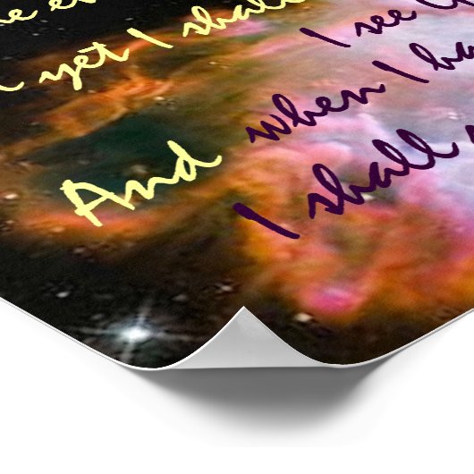 Schmetterlingposter Poster (Ecke)