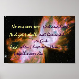 Schmetterlingposter Poster