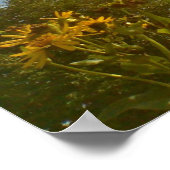 Schmetterlingposter Poster (Ecke)