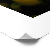 Schmetterlingposter Poster (Ecke)