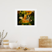 Schmetterlingposter Poster (Küche)