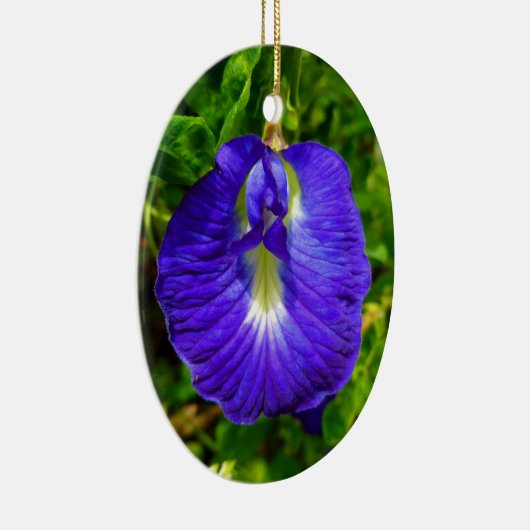 Schmetterlings-Erbse Keramik Ornament (Rechts)