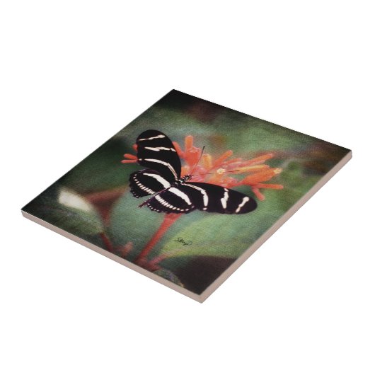 Schmetterlings-Fliese Fliese (Seite)