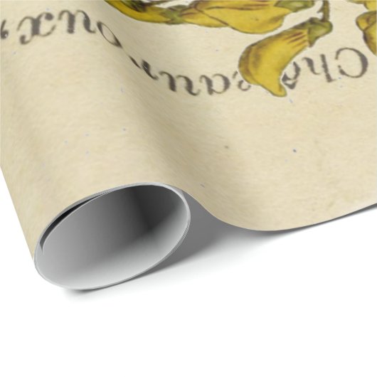 Schmetterlings-Franzosen Decoupage Plakate Geschenkpapier (Rolleneckpunkt)