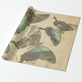 Schmetterlings-französische Wörterbuch Decoupage Geschenkpapier