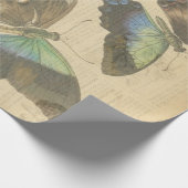 Schmetterlings-französische Wörterbuch Decoupage Geschenkpapier (Ecke)