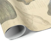 Schmetterlings-französische Wörterbuch Decoupage Geschenkpapier (Rolleneckpunkt)