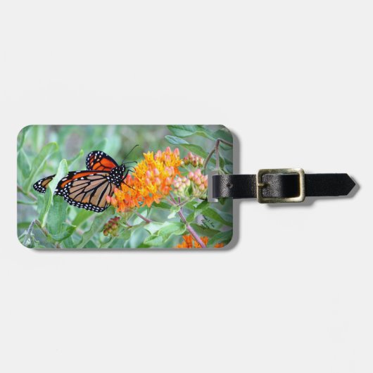 Schmetterlings-Gepäckanhänger Gepäckanhänger (Vorderseite horizontal)